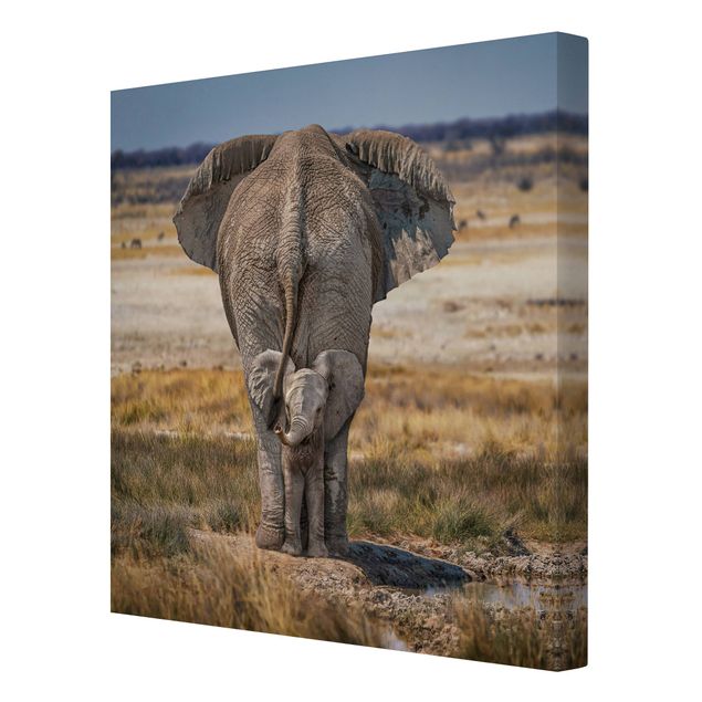 Print on canvas - Cheeky Elephant