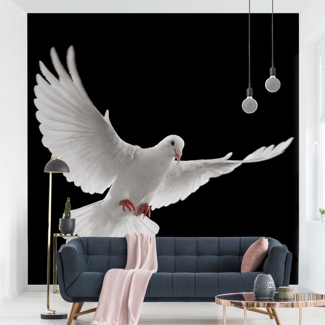 Wallpapers Dove Of Peace