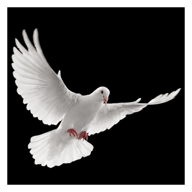 Wallpaper - Dove Of Peace