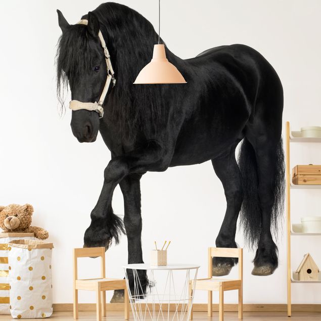 Wallpapers Friesian Mare