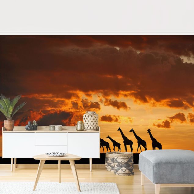 Wallpaper - Five Giraffes