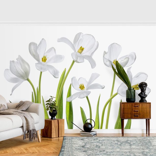 Wallpaper - Five White Tulips
