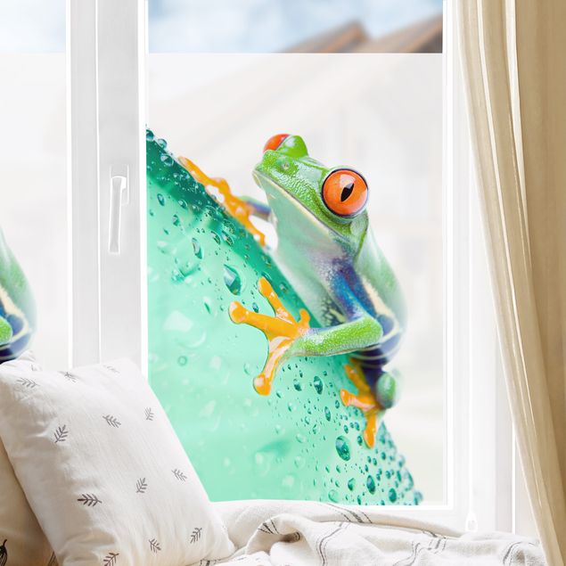 Window decoration - Zebra Frog