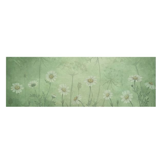 Print on canvas - Daisies in the green mist - Panorama 3:1