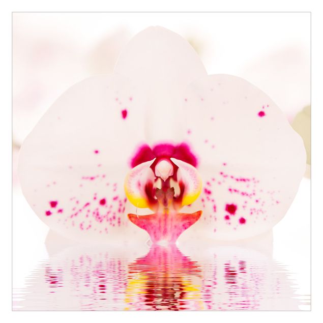 Wallpaper - Dotted Orchid On Water