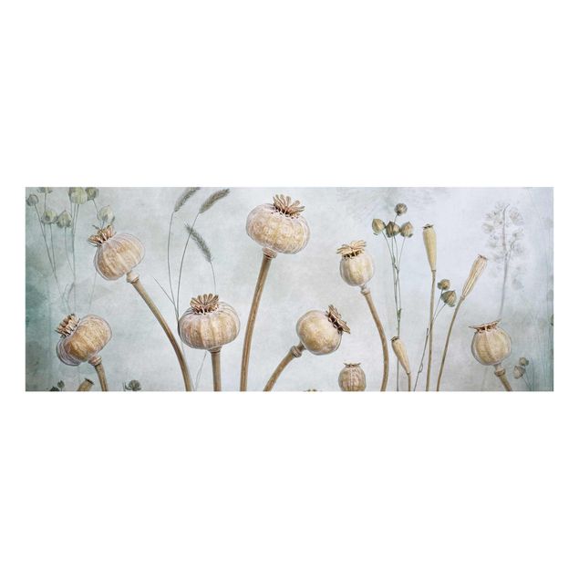 Glass print - Dried Poppy Flower
