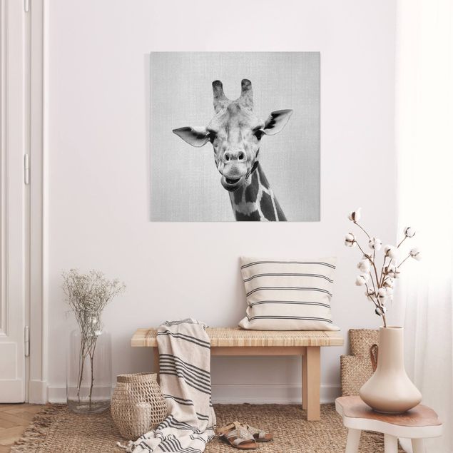 Canvas print - Giraffe Gundel Black And White - Square 1:1