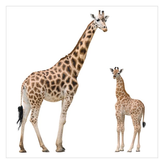 Wallpaper - Giraffe Mother And Child