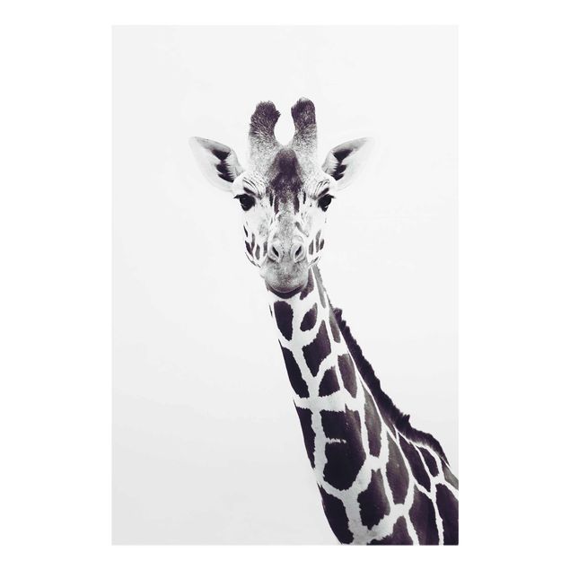 Glass print - Giraffe Portrait In Black And White