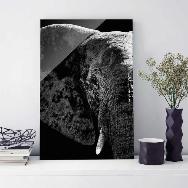 Glass print - African Elephant black & white
