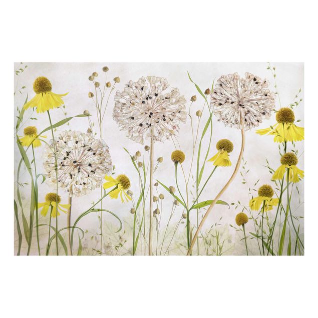 Glass print - Allium And Helenium Illustration