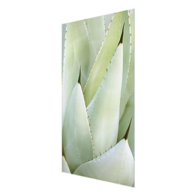Glass print - Aloe