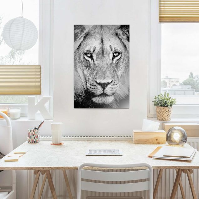 Glass print - Old Lion
