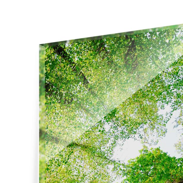 Glass print - Trees Of Life