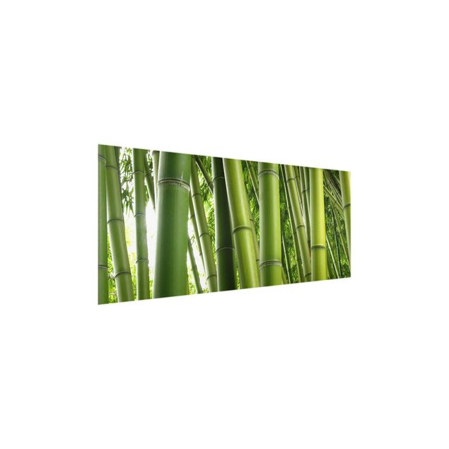 Glass print - Bamboo Trees No.1
