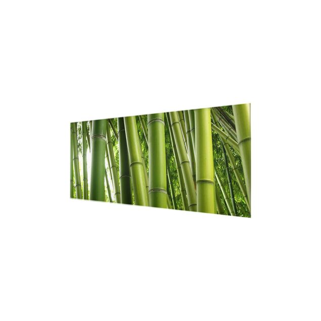 Glass print - Bamboo Trees No.1