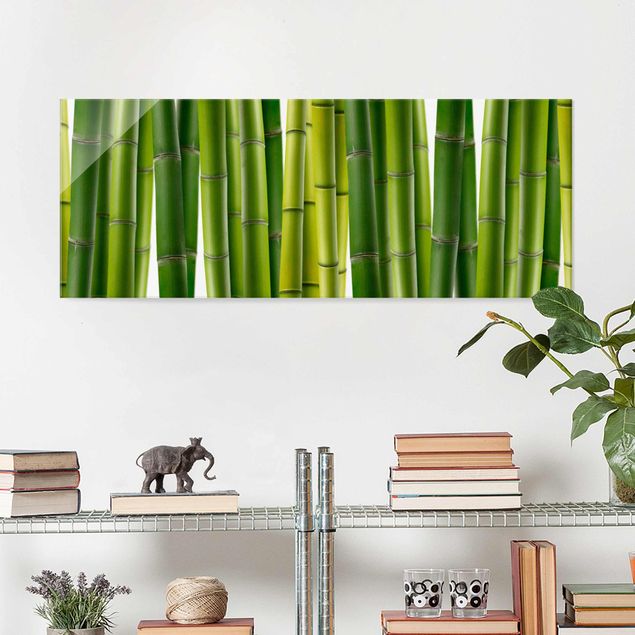 Glas Magnetboard Bamboo Plants