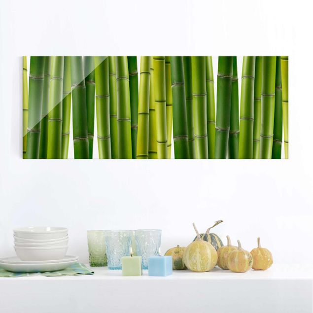 Glass print - Bamboo Plants