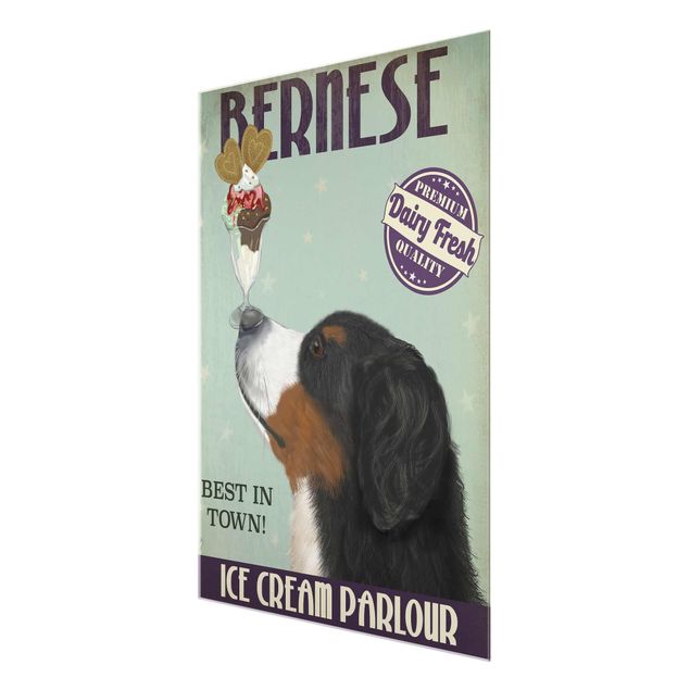 Glass print - Bernese Mountain Dog With Ice