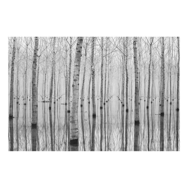 Glass print - Birches In November