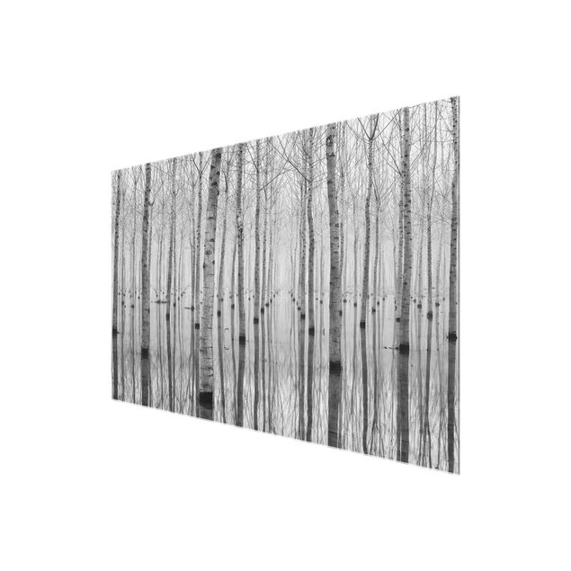 Glass print - Birches In November
