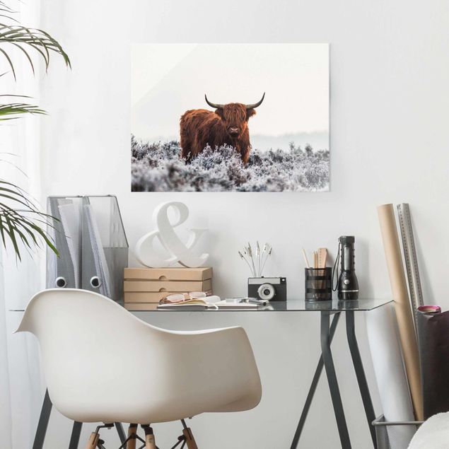 Glass print - Bison In The Highlands