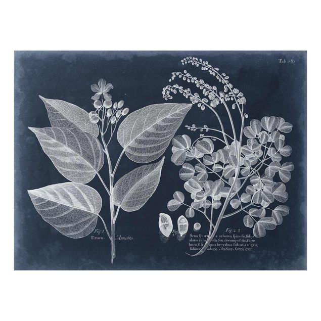 Glass print - Foliage Dark Blue - Annotto