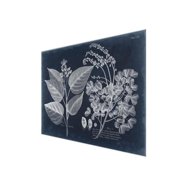 Glass print - Foliage Dark Blue - Annotto
