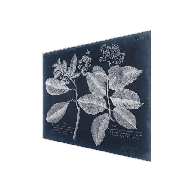 Glass print - Foliage Dark Blue - Kordie Department