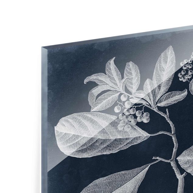 Glass print - Foliage Dark Blue - Kordie Department