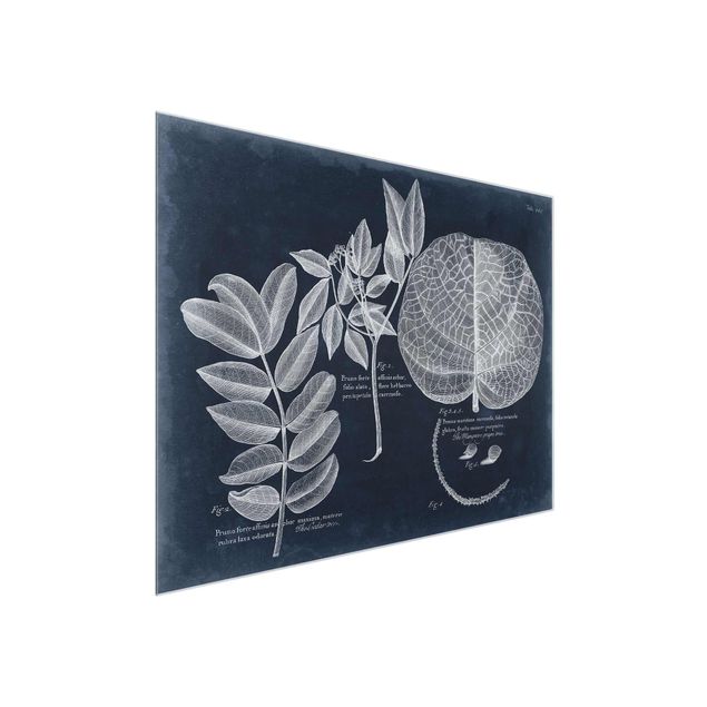 Glass print - Foliage Dark Blue - Mangrove