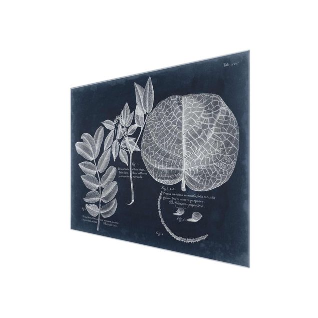 Glass print - Foliage Dark Blue - Mangrove