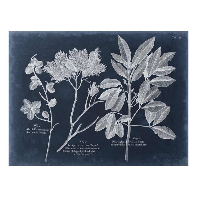 Glass print - Foliage Dark Blue - Juniper