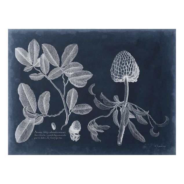 Glass print - Foliage Dark Blue - Zimtapfel
