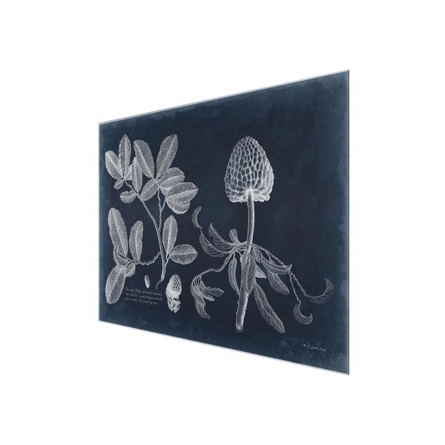 Glass print - Foliage Dark Blue - Zimtapfel