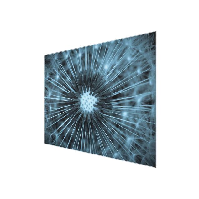 Glass print - Blue Tinted Dandelion