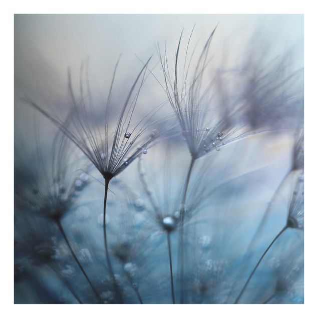 Glass print - Blue Feathers In The Rain