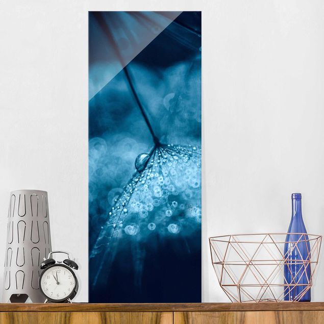 Magnettafel Glas Blue Dandelion In The Rain