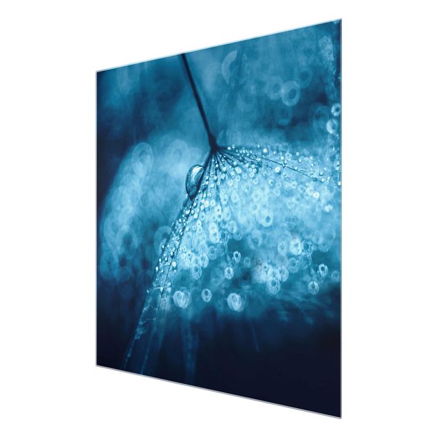 Glass print - Blue Dandelion In The Rain