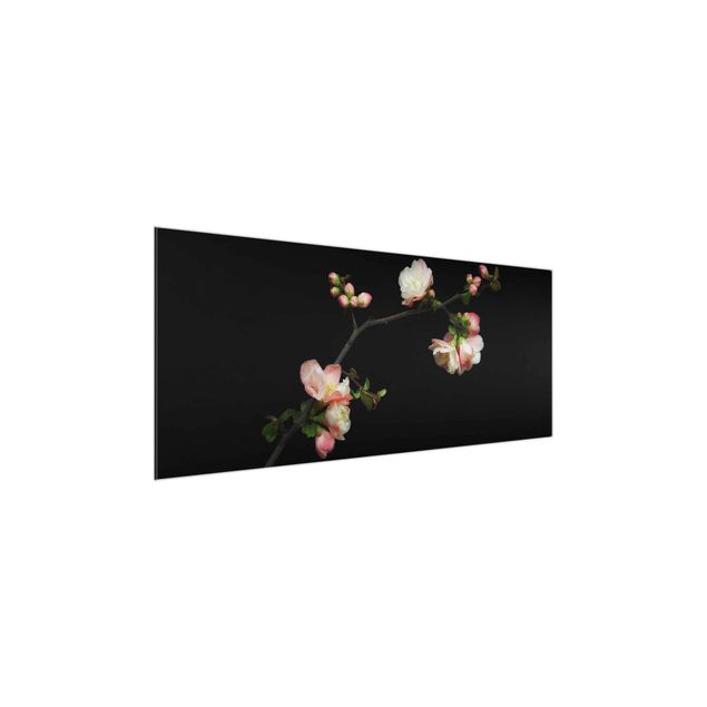 Glass print - Blossoming Branch Apple Tree