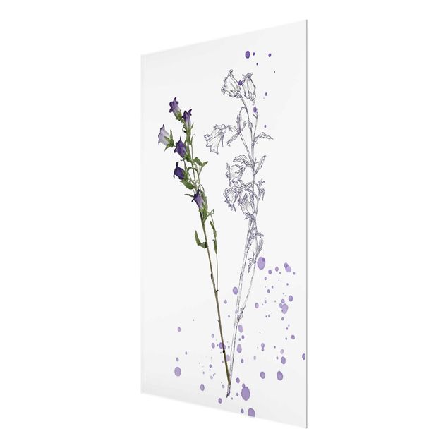 Glass print - Botanical Watercolour - Bellflower