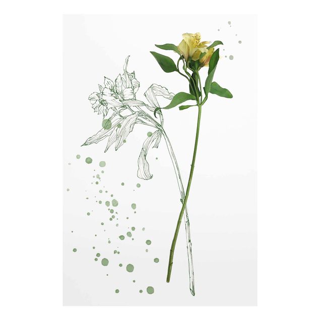Glass print - Botanical Watercolour - Lily