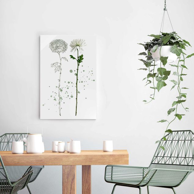 Glass print - Botanical Watercolour - Dandelion