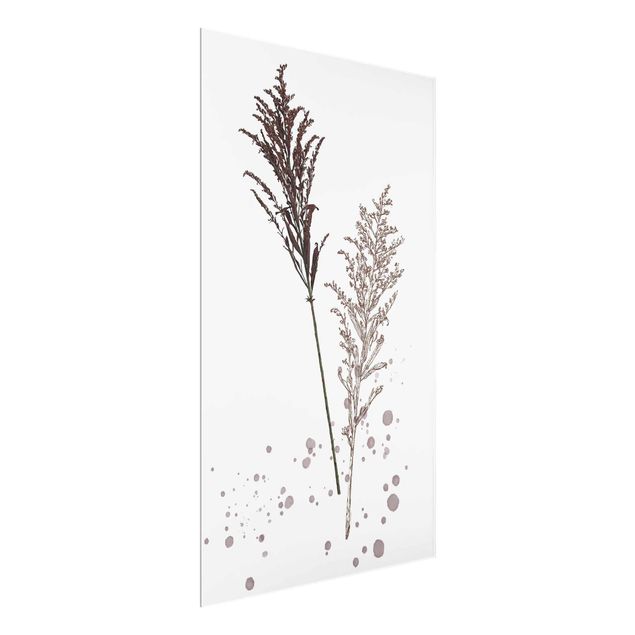 Glass print - Botanical Watercolour - Fescue Reed