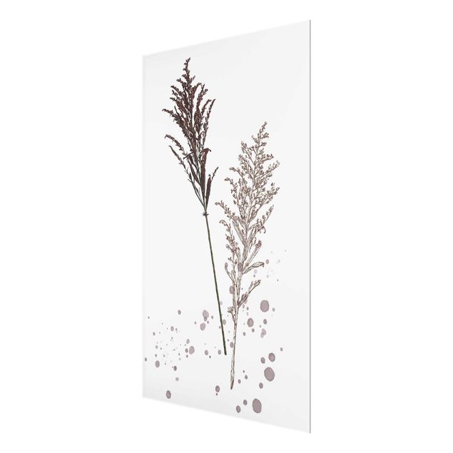 Glass print - Botanical Watercolour - Fescue Reed
