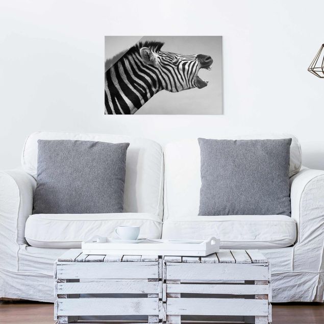 Glass print - Roaring Zebra ll