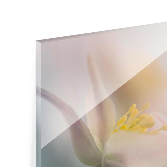 Glass print - Wood anemone