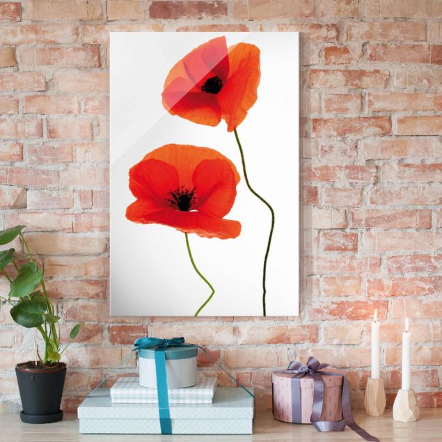 Glas Magnetboard Charming Poppies