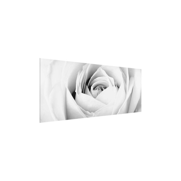 Glass print - Close Up Rose