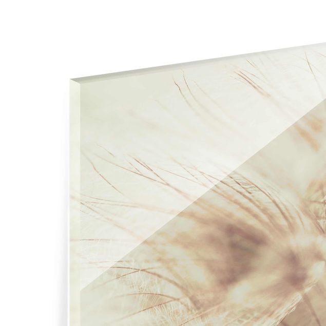 Glass print - Detailed Dandelion Macro Shot With Vintage Blur Effect
